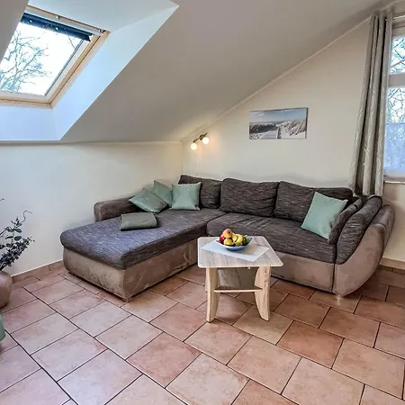 Zaunkoenig By Interhome *